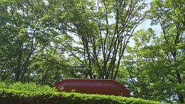 県立美術館 (4)