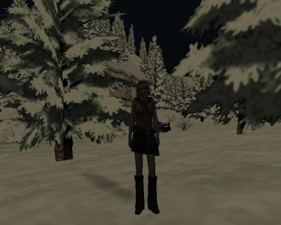 WS000034_20130107205048.jpg