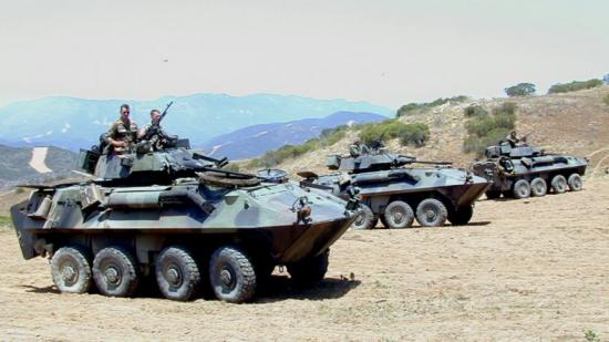 lav-25.jpg
