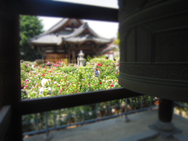 IMG_5377.jpg