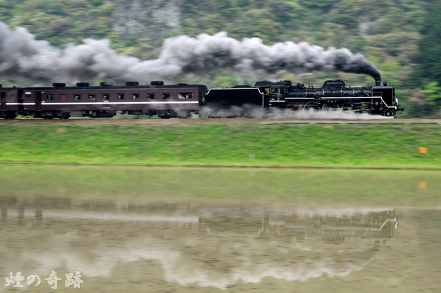 DSC_3209.jpg
