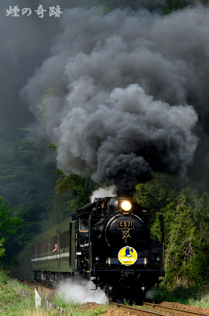 DSC_3319.jpg