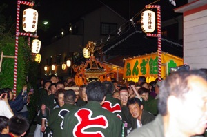 IMGP6638.jpg