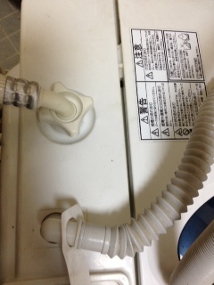 写真 (34)