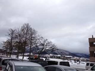 写真 (133)
