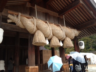 写真 (121)