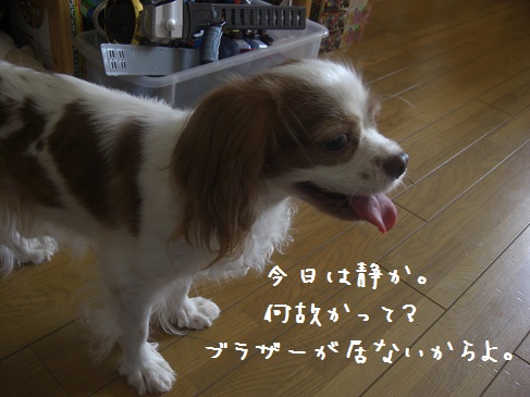 egao_01