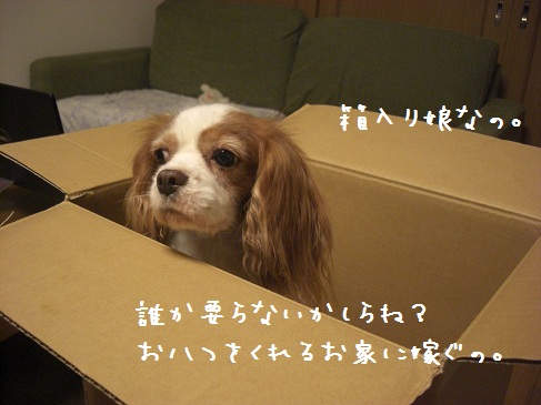 kuisinbo_01