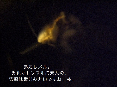 SummerDays_01