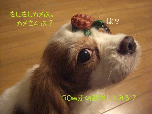 亀1