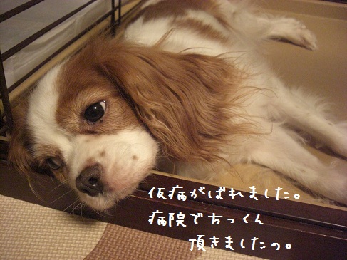 ビョウインヘ(2)