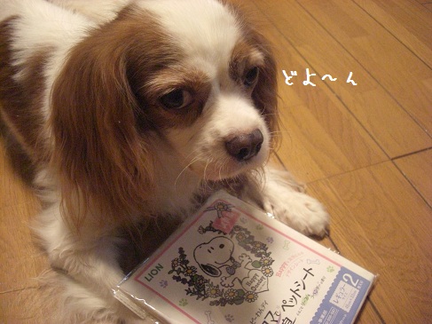kuisinbo_02