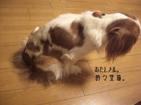 2013.5.10(2)