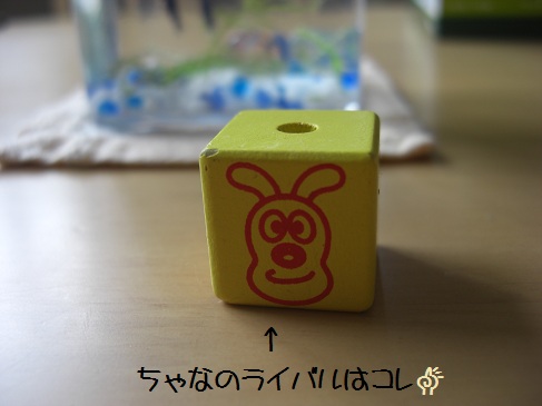フントウ_チャナ(3)