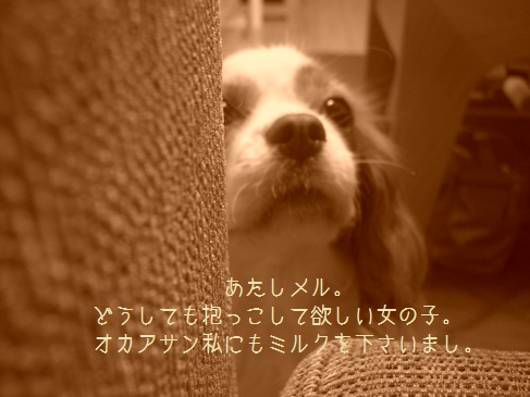 ワガママ_03