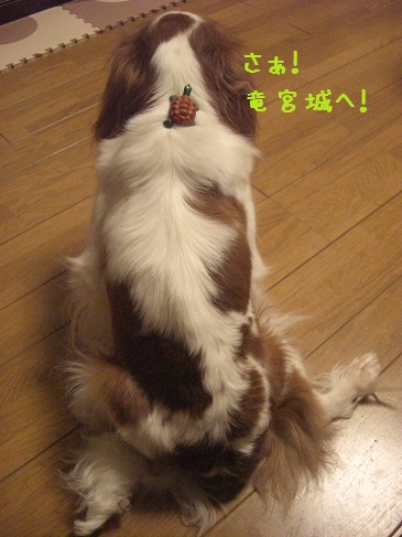 亀(3)