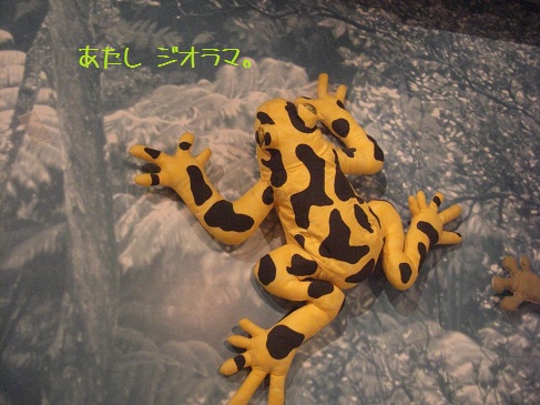 恐竜-3