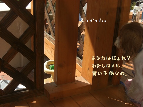 カクレンボ