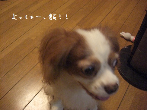 kuisinbo_04