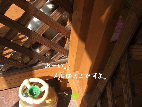 ポト