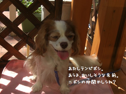 勝利