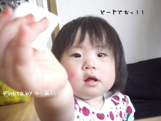 ⑥ 家庭菜園とクイシンボウ 2011.06.06