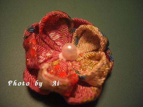 PICT0009_20121204102248.jpg