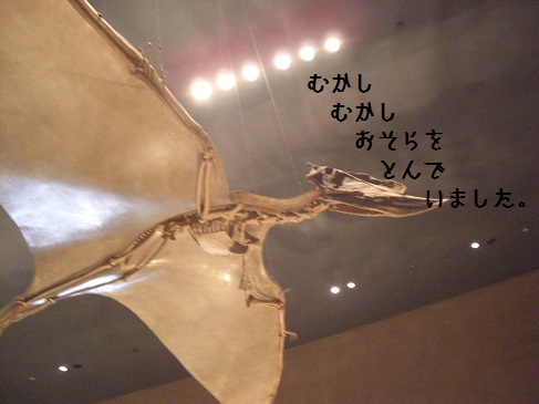 恐竜-12