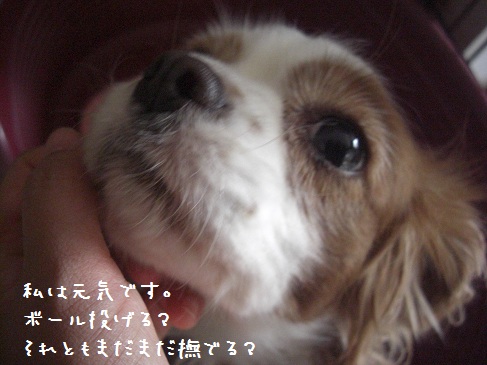 4 一周忌