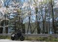 中禅寺湖にはまだ桜が残っていた