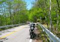 新緑1 赤城山北面道路