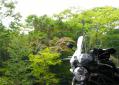 ちょと色づいた葉も 柳沢峠付近