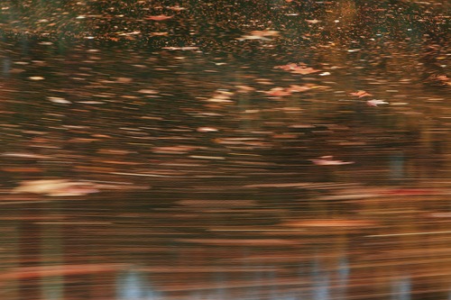 310024.jpg