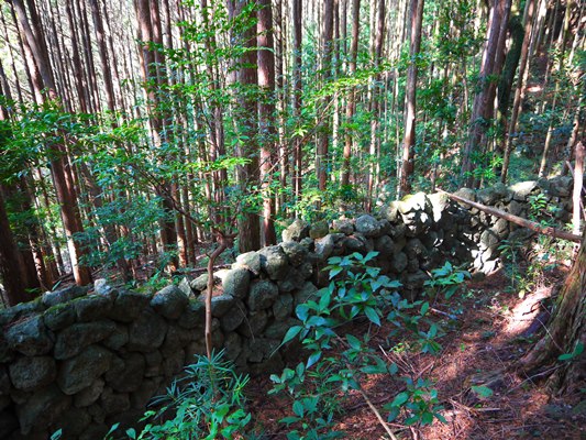 P1160816.jpg