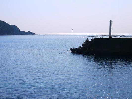 P1160857.jpg