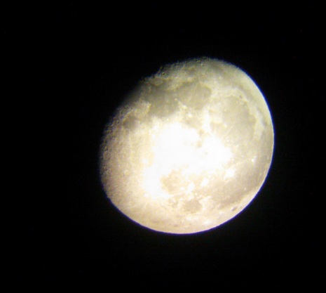 DSC_0550.jpg