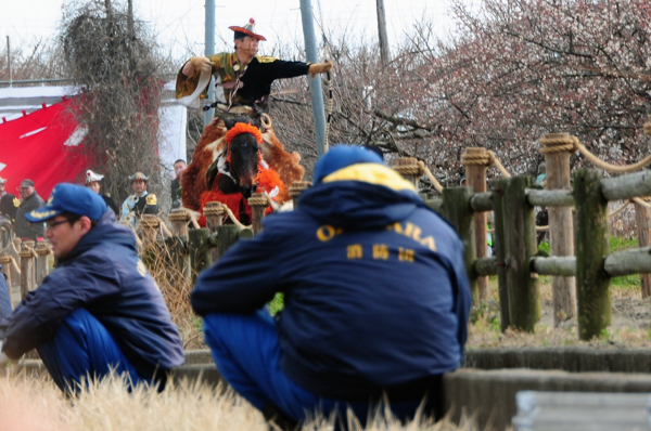 20130211002.jpg