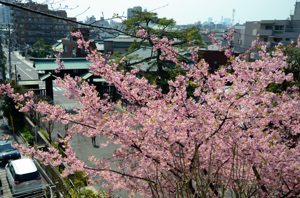 20130308ikegami004.jpg