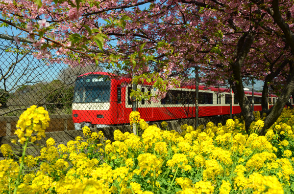 20130312014.jpg