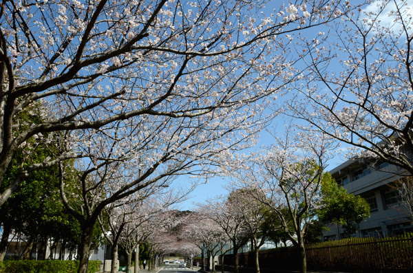 20130321003.jpg