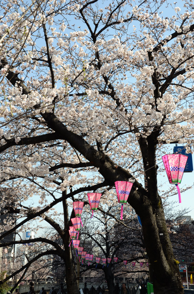 20130322ko005.jpg