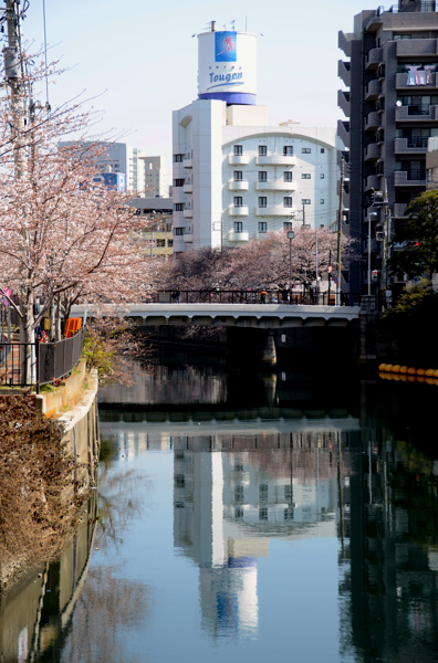 20130322ko011.jpg