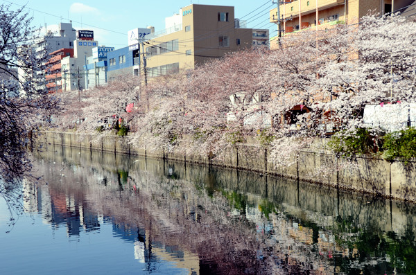 20130322ko019.jpg