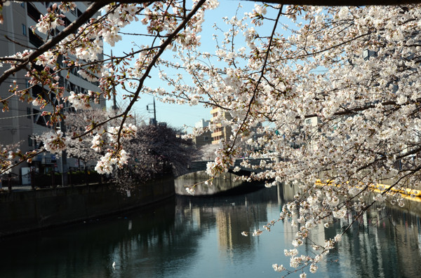 20130322ko021.jpg