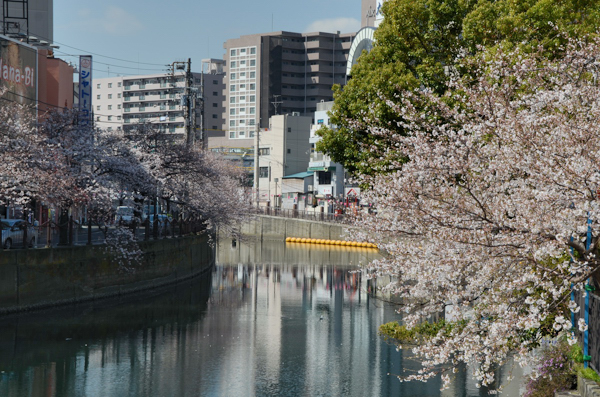 20130322ko022.jpg