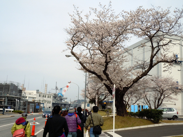 20130324008.jpg