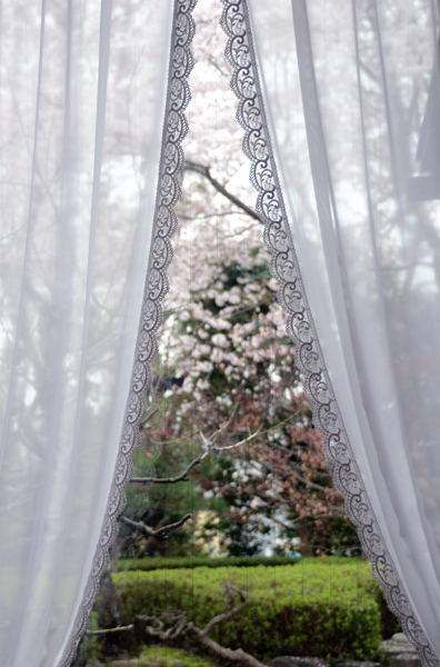 20130329yo025.jpg
