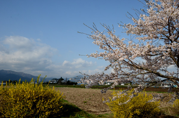 20130405ko001.jpg