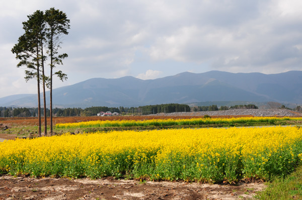 20130405ko005.jpg