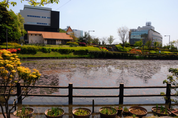 20130410ni002.jpg